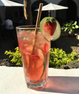 Bebidas Refrescantes