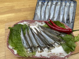 Shishamo 多春鱼