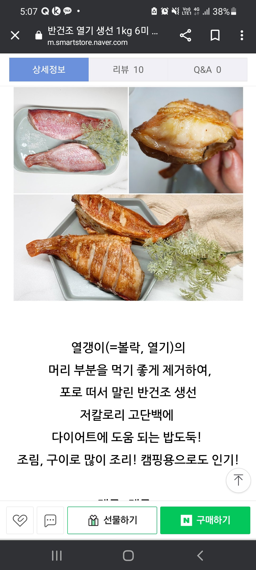 속초 두절열기포 (2마리) *
