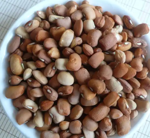Brown Beans