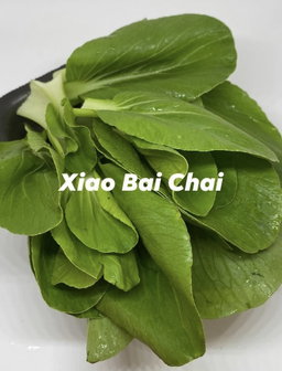 Vegetable - Xiao Bai Chai