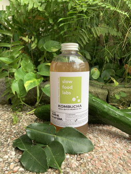 Kaffir Cucumber Kombucha 