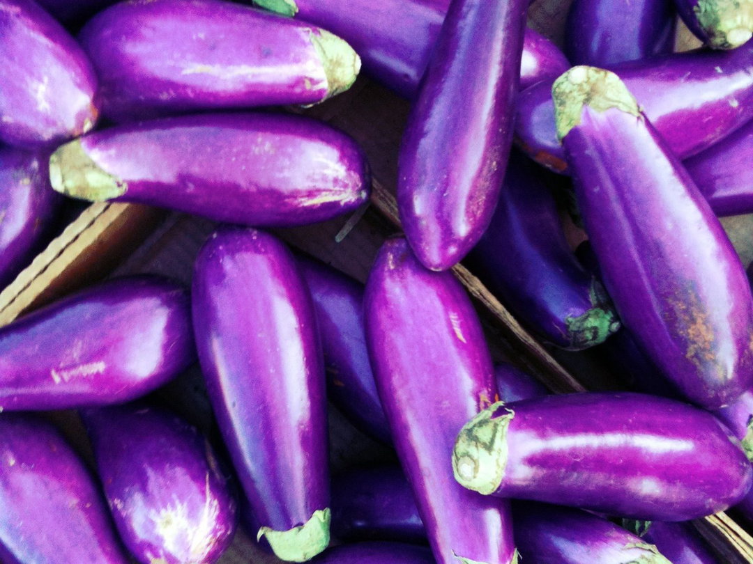 Eggplant 茄子