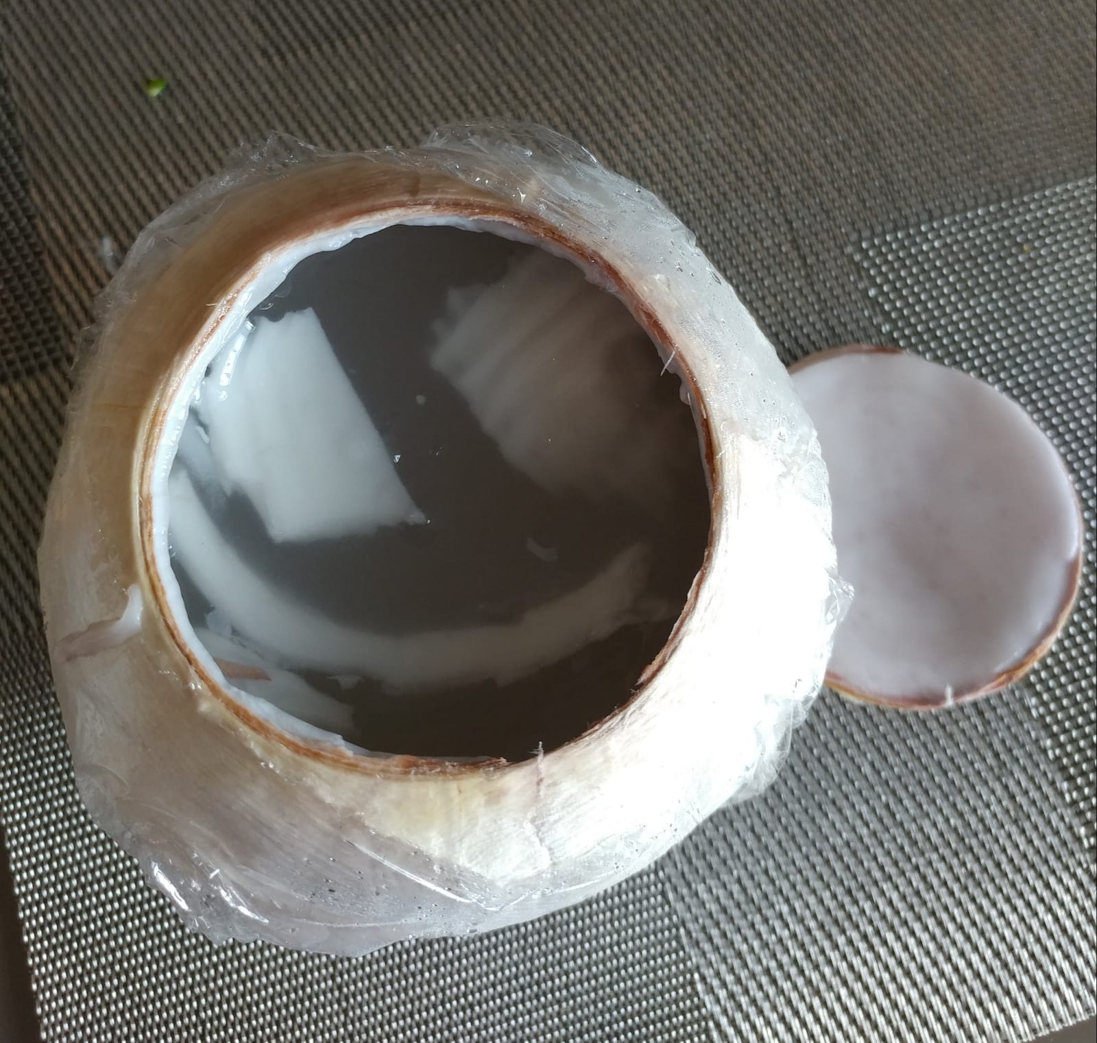 JS- Coco Q Jelly in Shell_1
