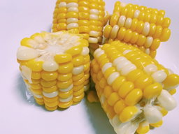 Premium Corn 🌽 