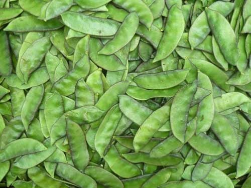 Avarakai (Broad Beans)