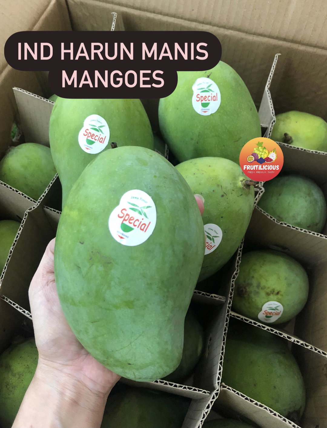 INDO HARUNMANIS MANGOES