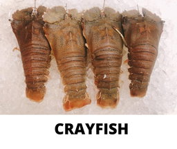 CRAYFISH