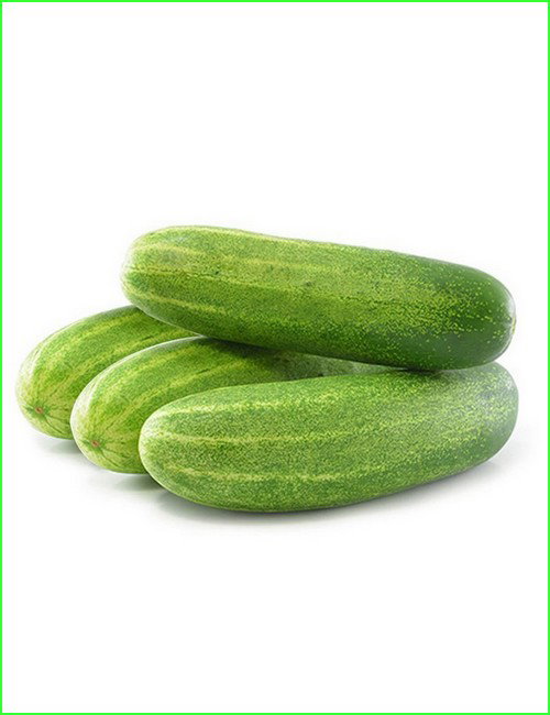 Cucumber
