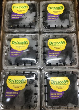 DRISCOLL’S BLACKBERRIES
