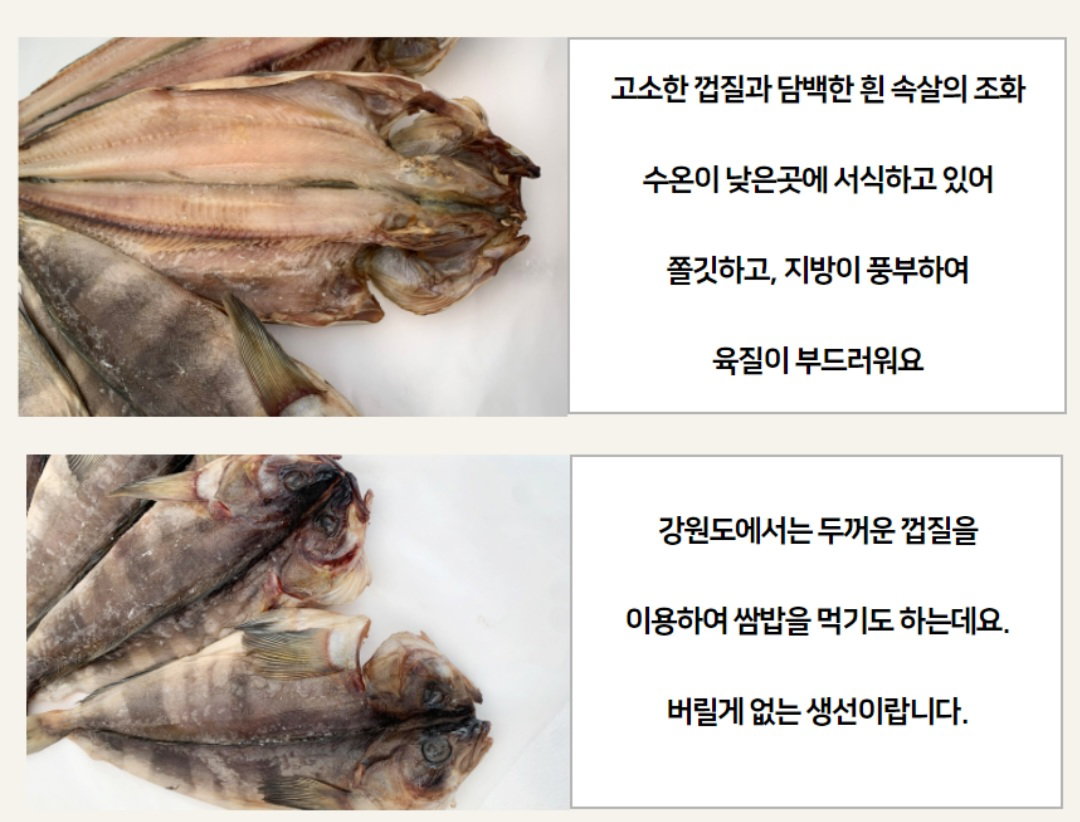 속초 반건조임연수(대)