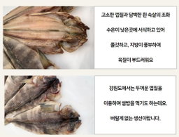 냉동제품