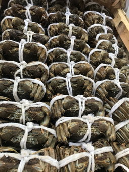 H200F - 200gms Female Hairy Crab 