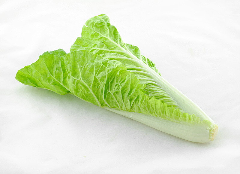 Chinese Cabbage 皇京白菜