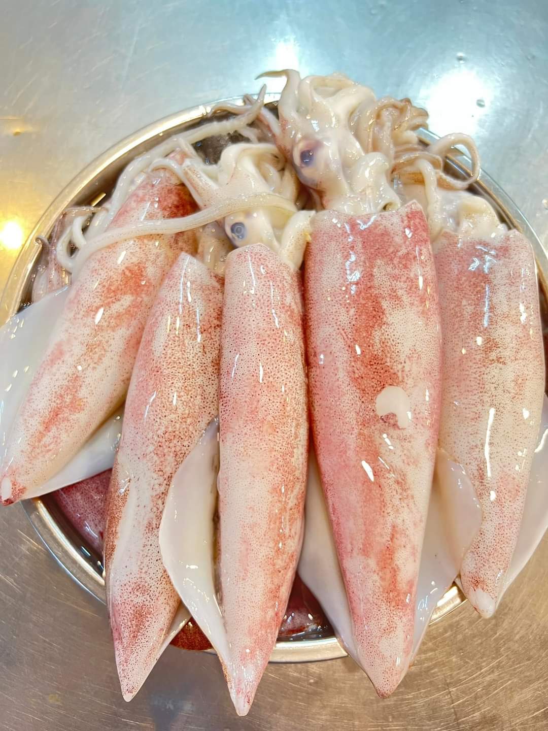 Squid (Sotong) _1