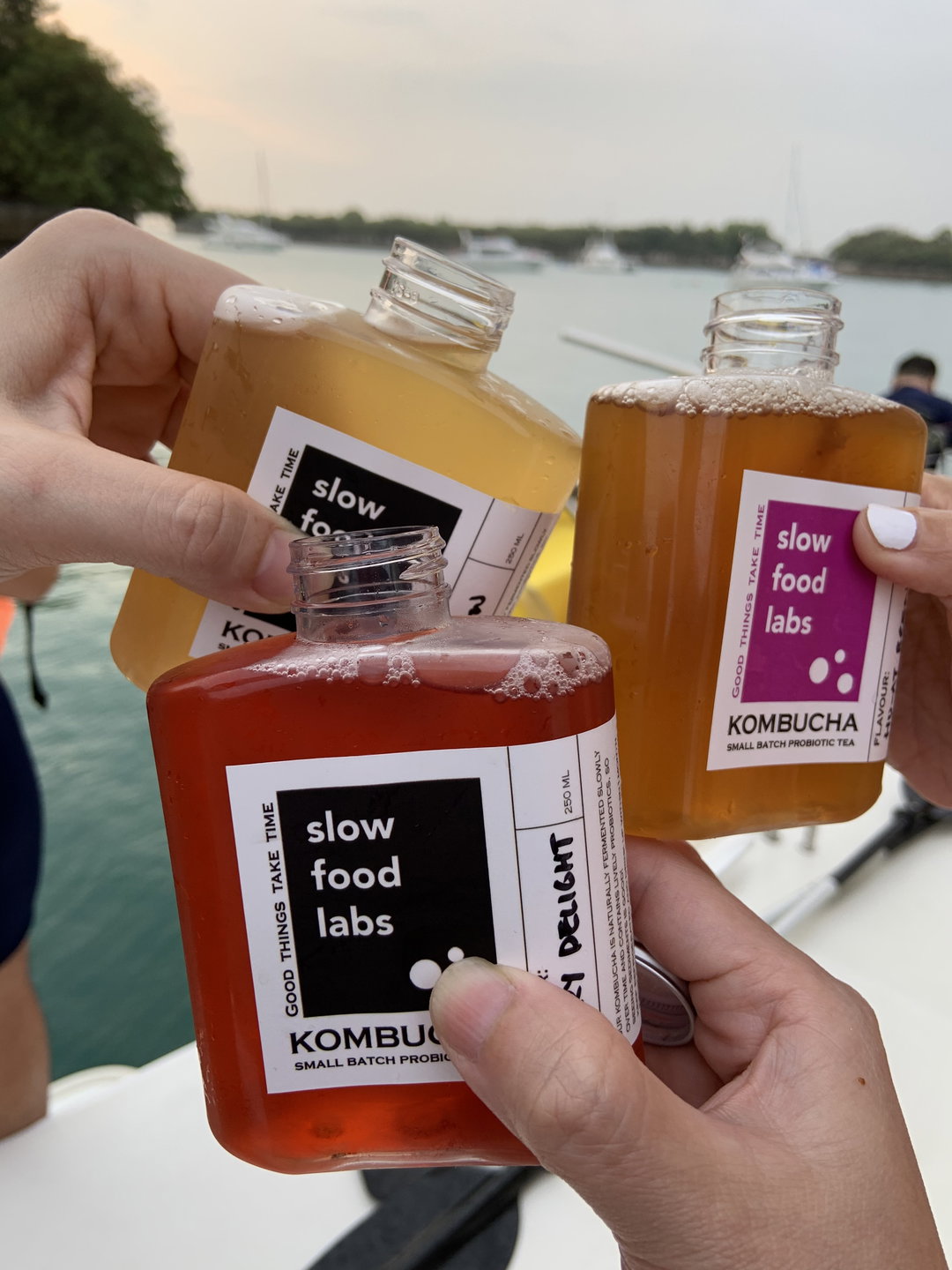 New 250ml Single Serve Fun Size Kombucha