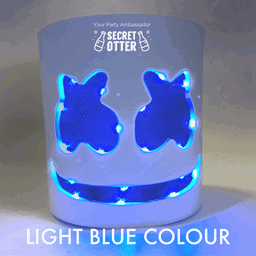 Made your own DJ Party Mask