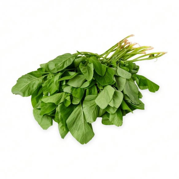 Baby Spinach (圆苋菜）