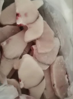 Blue Shark Fillet - (Prionace glauca)