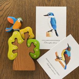 Birds of Singapore I Postcard Set (Set of 12)