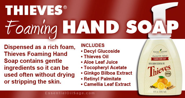 Thieves Kitchen & Bath Scrub 397g