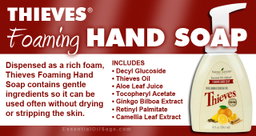 Thieves Kitchen & Bath Scrub 397g