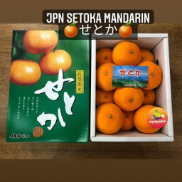 JPN AIR FLOWN SAGA SETOKA MIKAN (3kg)