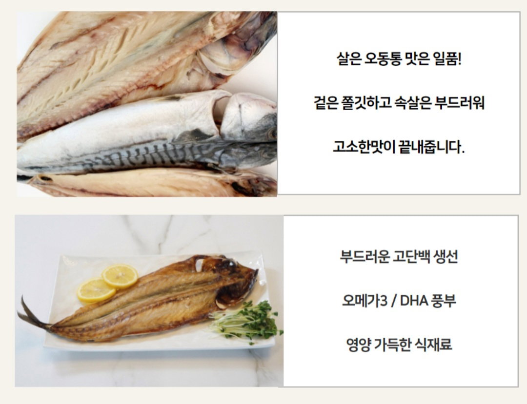 속초 반건조고등어 (대)_0