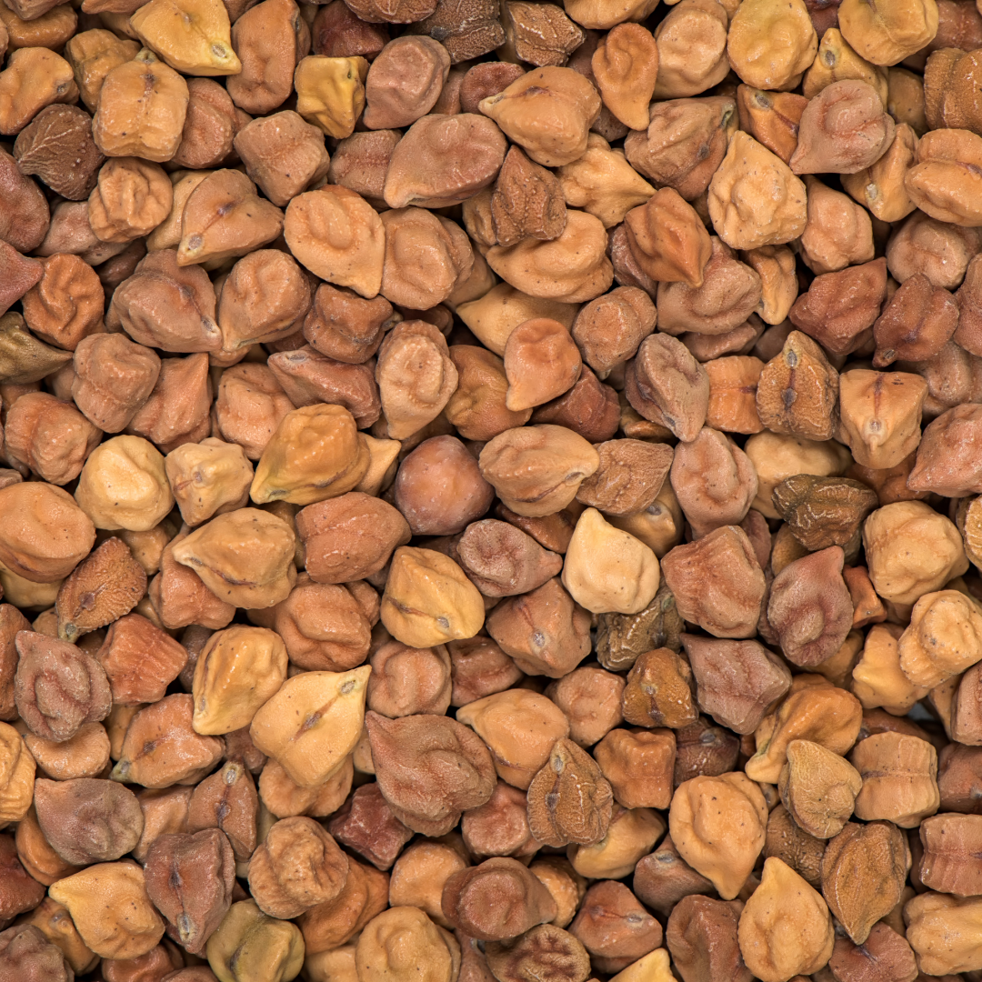 Chick Peas / கொண்டைக் கடலை