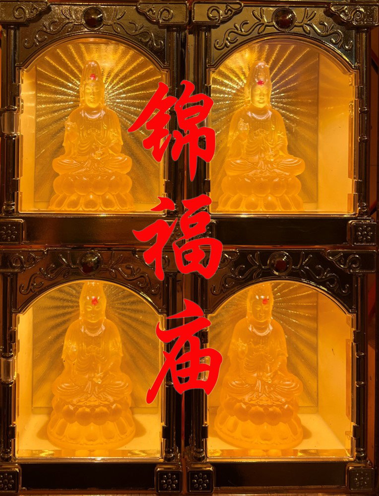 2026 光明灯 (一年）_0