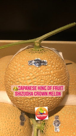 JAPAN SHIZUOKA CROWN MUSKMELON