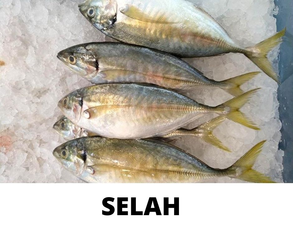 SELAH