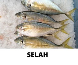 SELAH