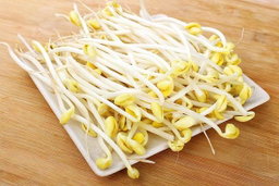 Soybean sprouts（大豆芽）