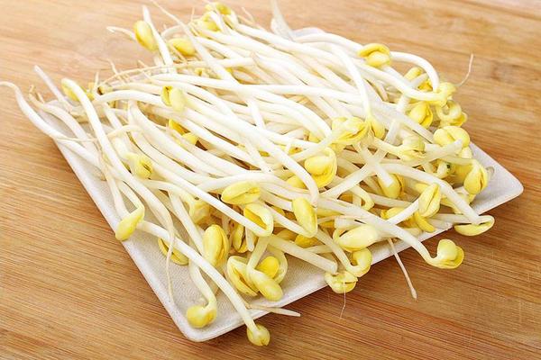 Soybean sprouts(大豆芽)