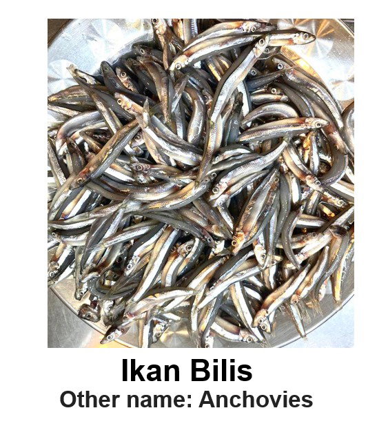 ANCHOVIES (IKAN BILIS)