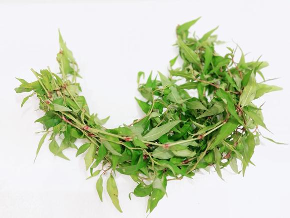 Laksa Leaf( 辣沙叶）