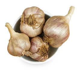 Garlic(Hill)