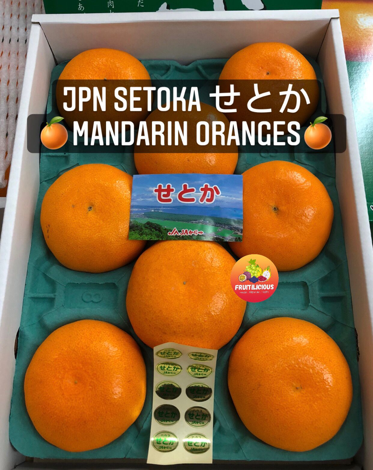 JPN AIR FLOWN SAGA SETOKA MIKAN (3kg)_0