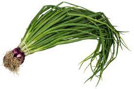 Spring Onion_0