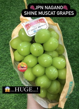 JAPAN NAGANO SHINE MUSCAT GREEN SL GRAPES