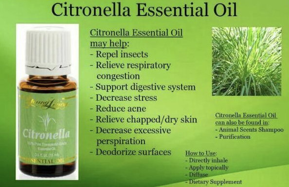 Citronella 15ml