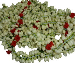 Jasmine ball