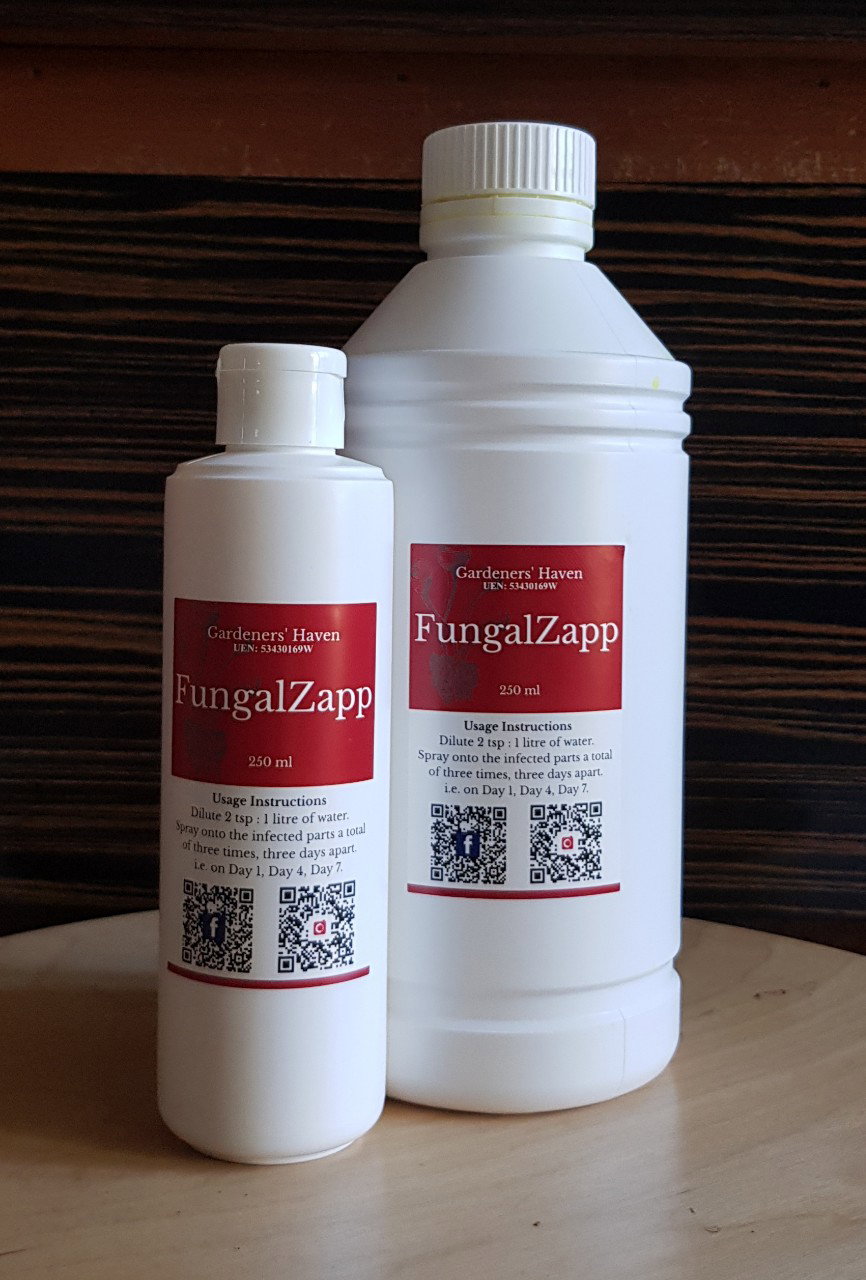 FungalZapp (Fungicide)_0