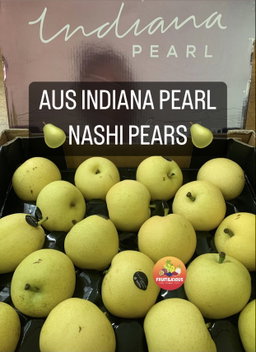TEMHEM INDIANA PEARL NASHI PEARS XL