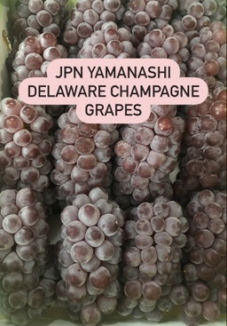 JPN DELAWARE CHAMPAGNE GRAPES