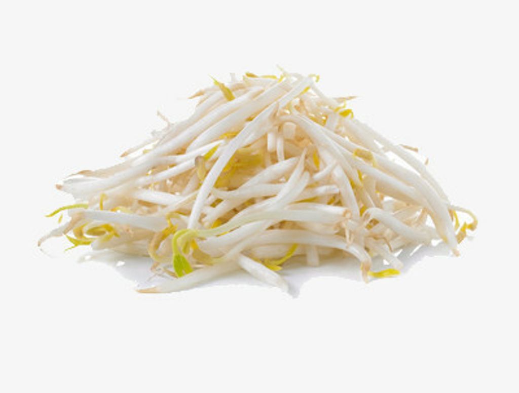 Ginga(银芽)