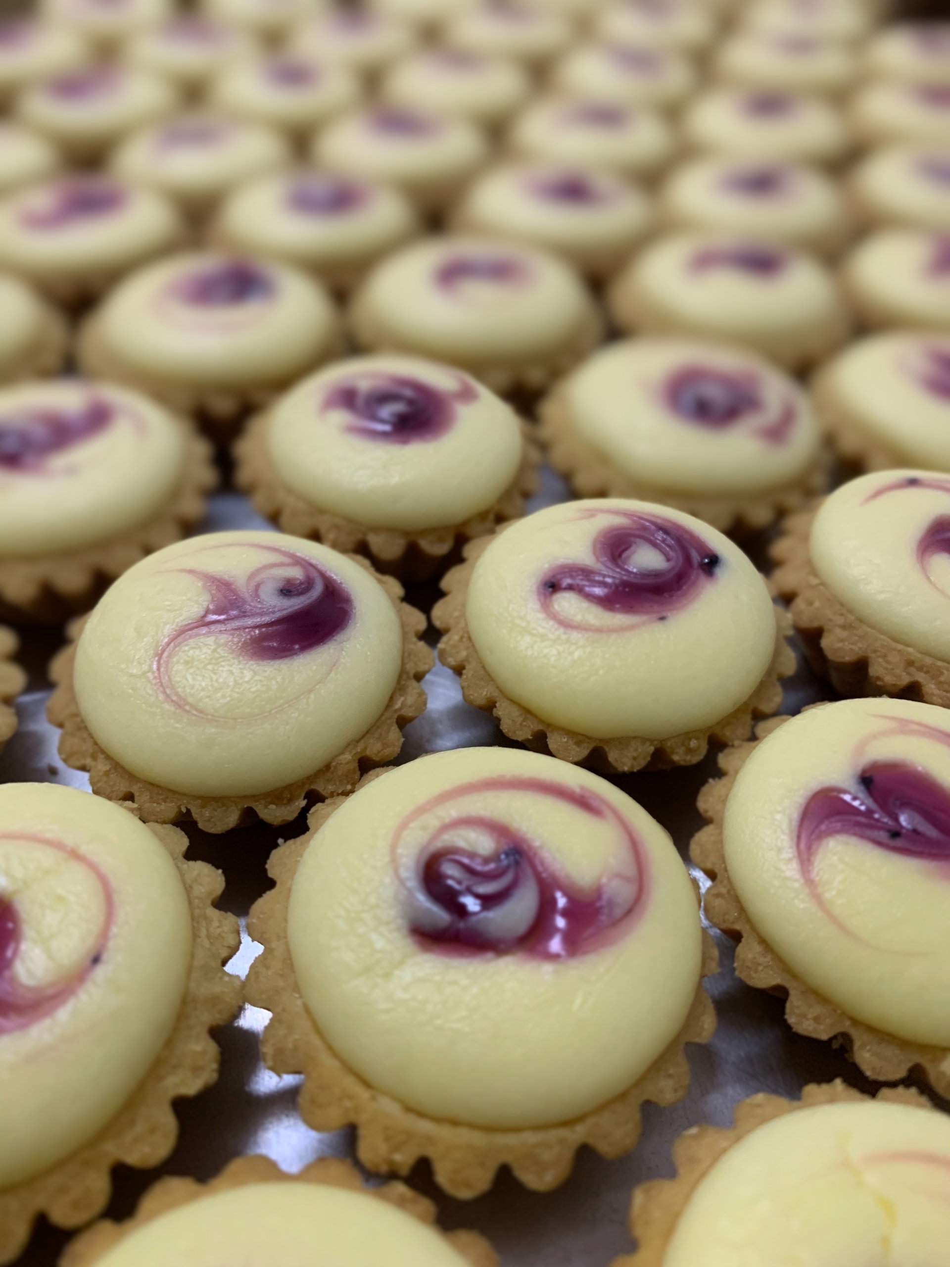 Cheese Tart blueberry_0