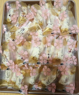 Almond or macadamia cranberry nougat (Top seller)