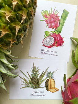 Fruits of Singapore Postcard set (Set of 12)